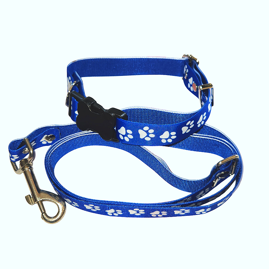 Paws Collection Blue Ribbon Set