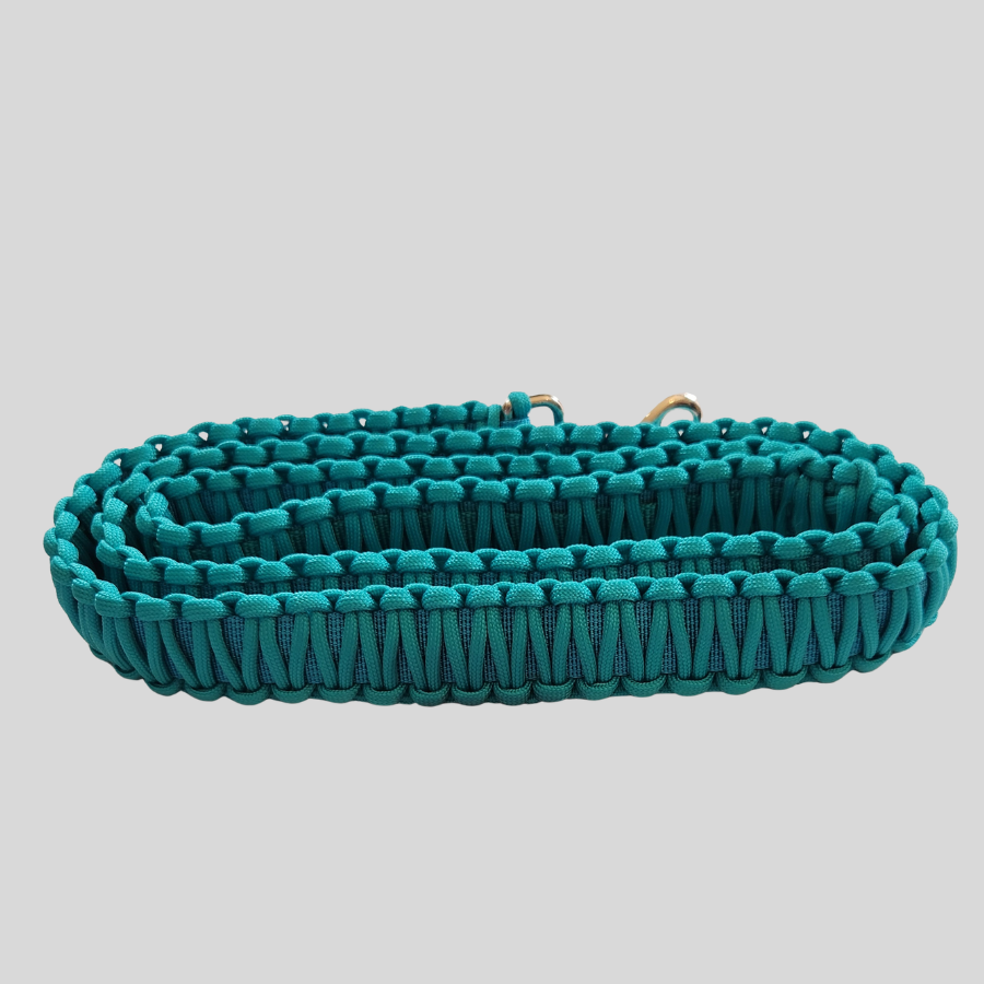turq webbing paracord puppy 2nd.png