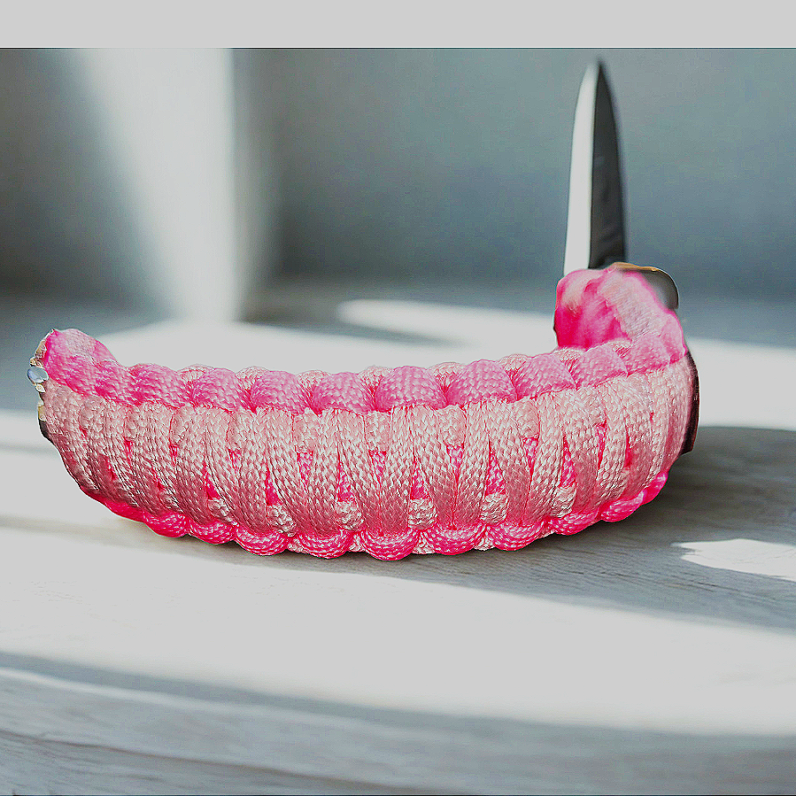 Pink Biothane Collar