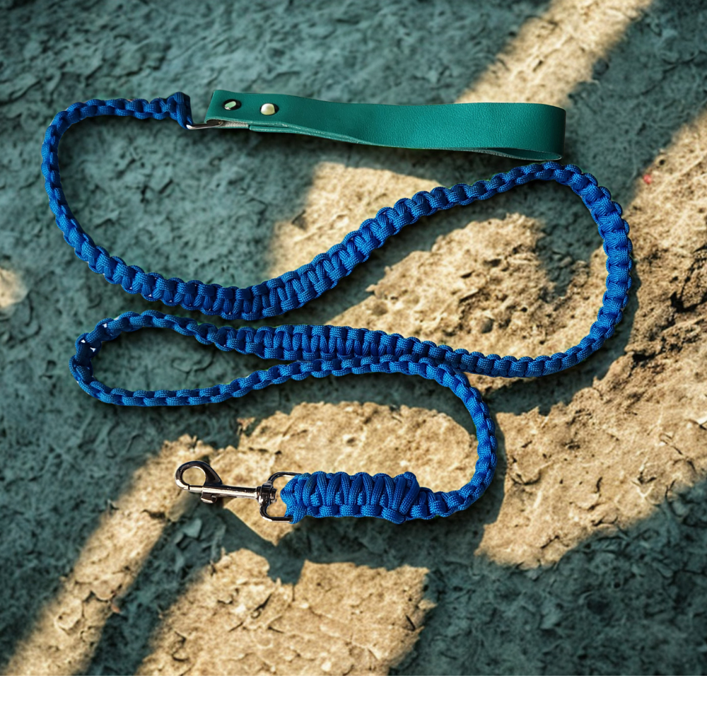 blue leather handle lead.png