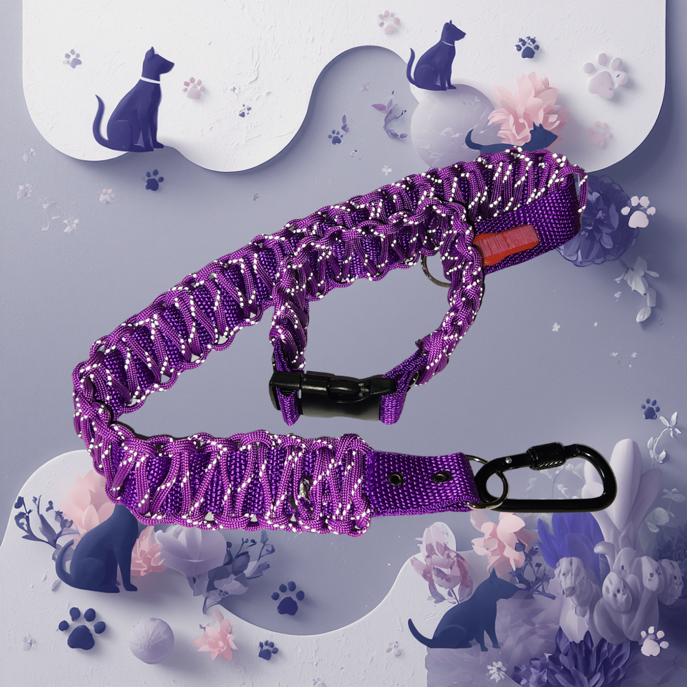 Vibrant Car Restraint