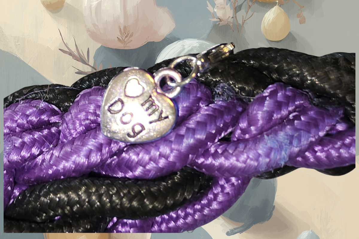 purple+black+braided+lead1.png