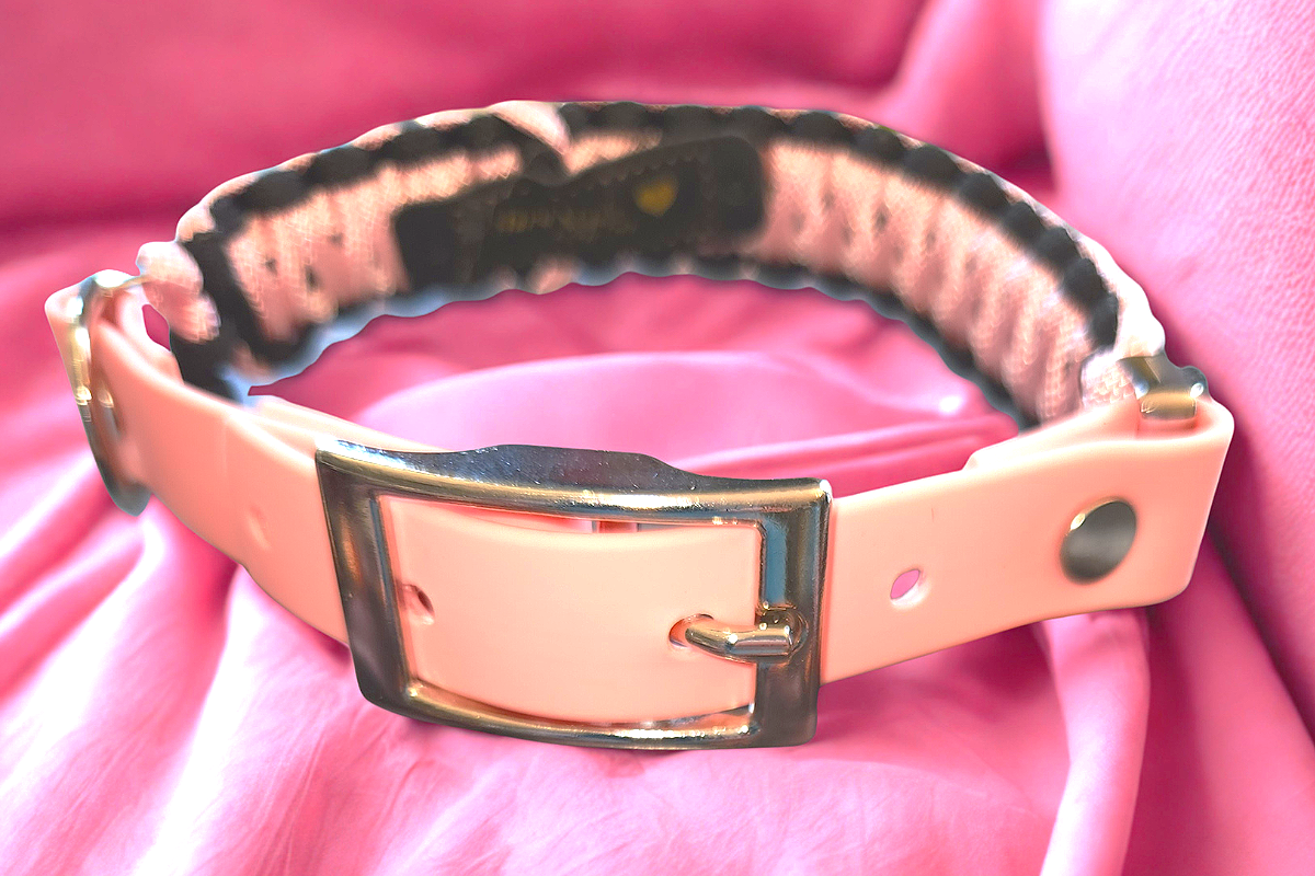 Sassy Strut Pink Paracord Pet Collar