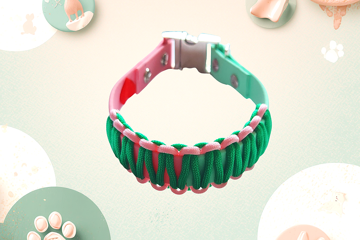 Green & Pink Puppy Charm Collar