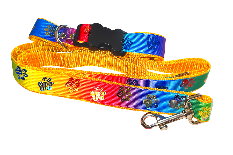 Paws Collection Multicolor Paw Print Collar & Lead Set