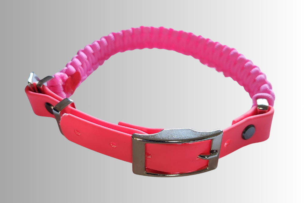 Vibrant Pink Adventure Dog Collar