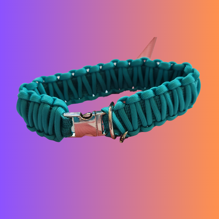 turq webbing paracord puppy 2nd.apng.png