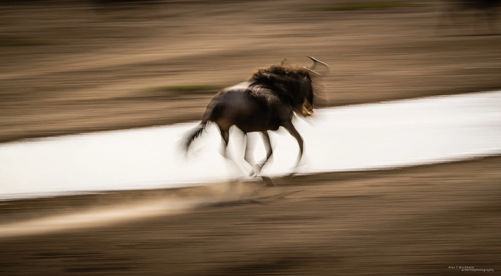 Blurred motion image of a galloping horse running through a dirt field.