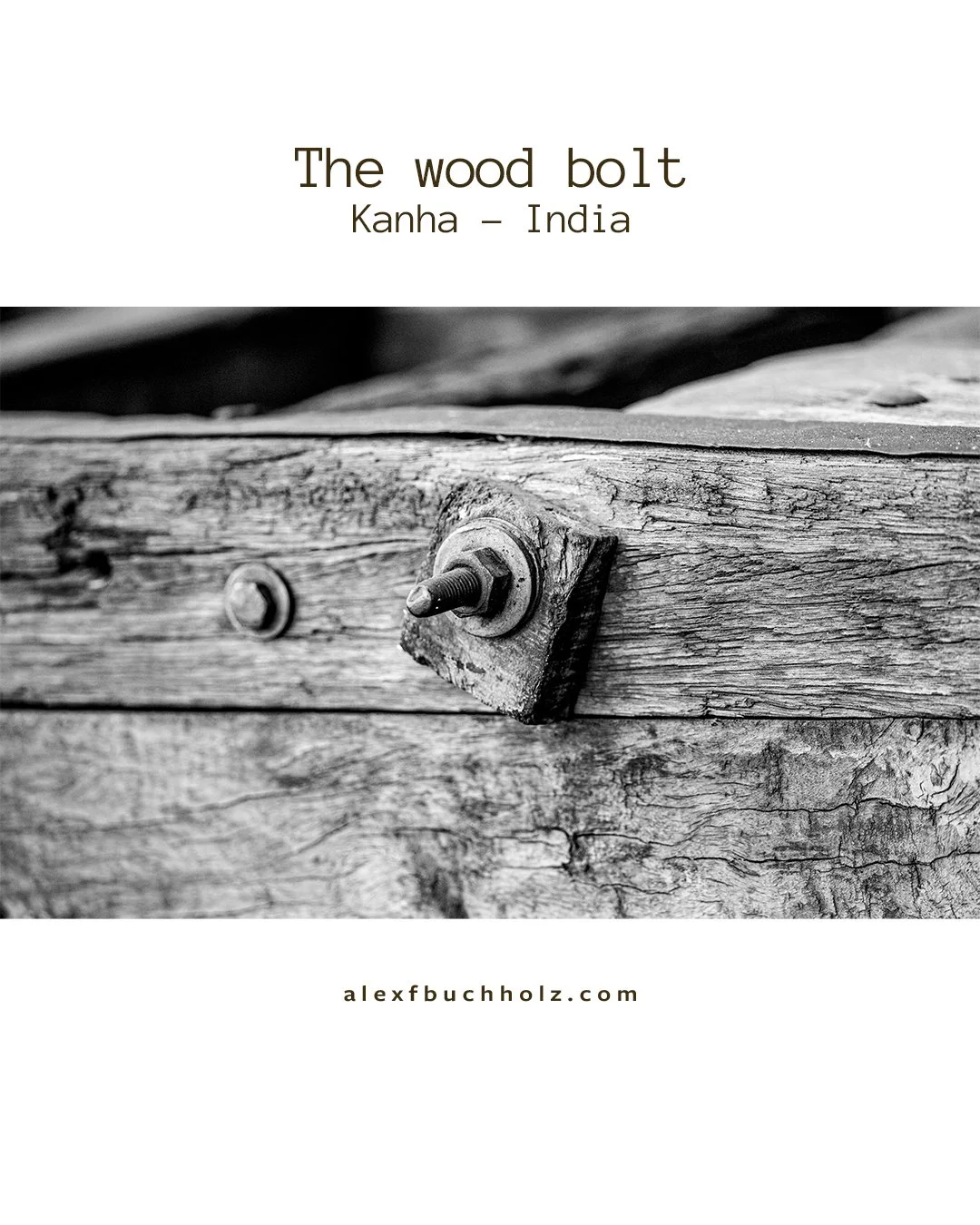 Close-up of an old, weathered wooden plank with a large bolt and nut attached to it, black and white photograph.