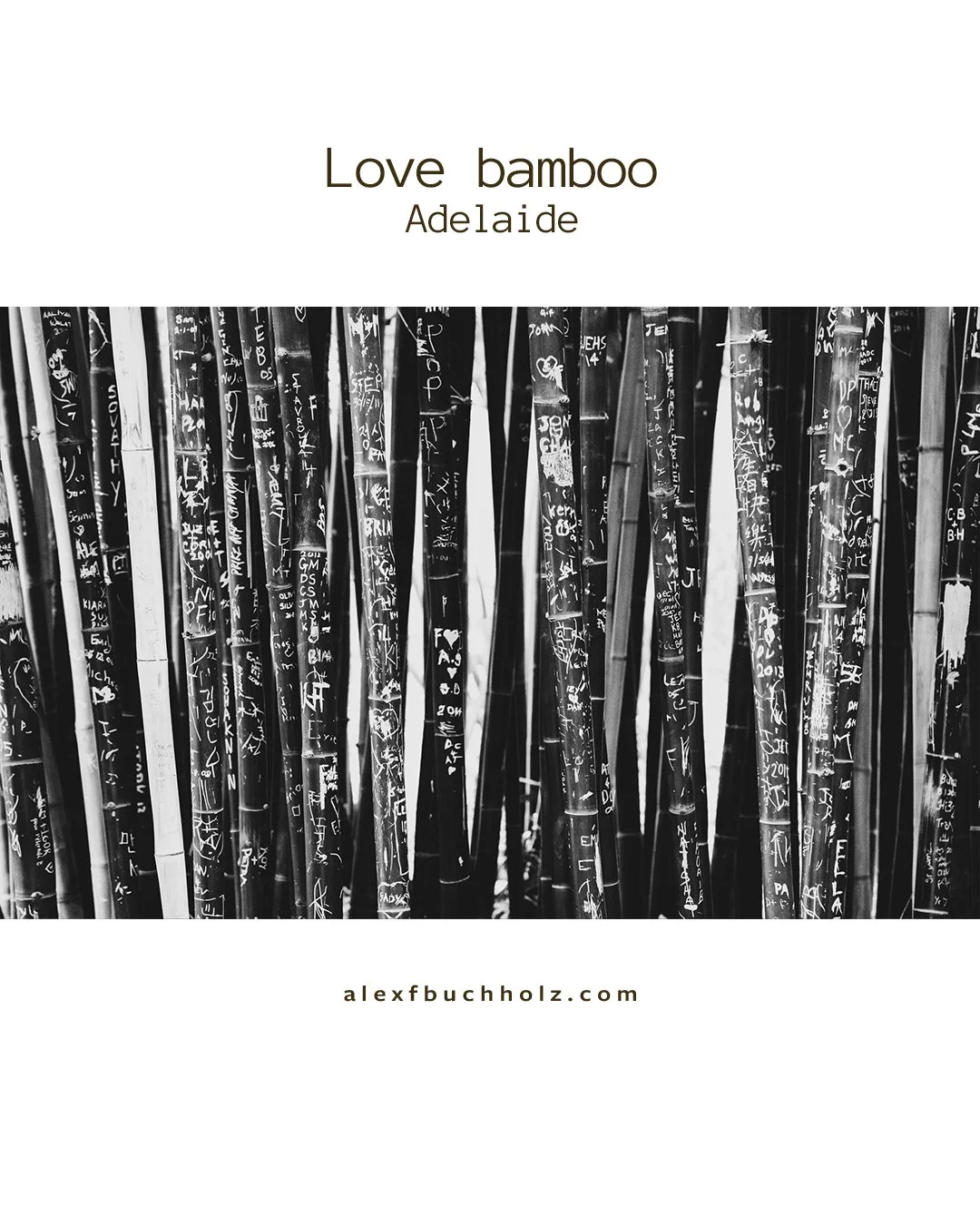 Black and white photo of bamboo stalks with graffiti and carvings.