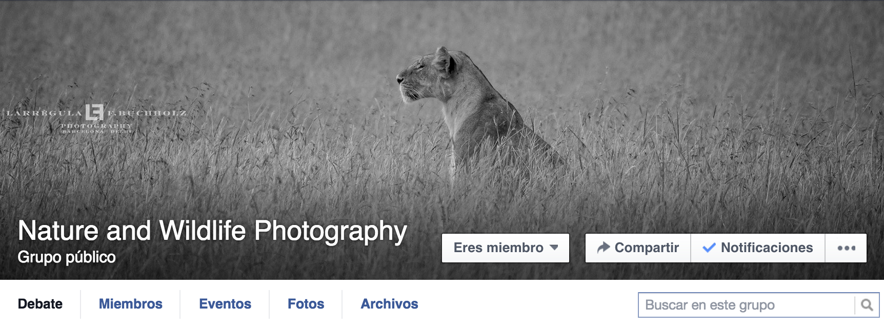 Facebook group page titled "Nature and Wildlife Photography" with a black-and-white cover photo of a lion sitting in tall grass.