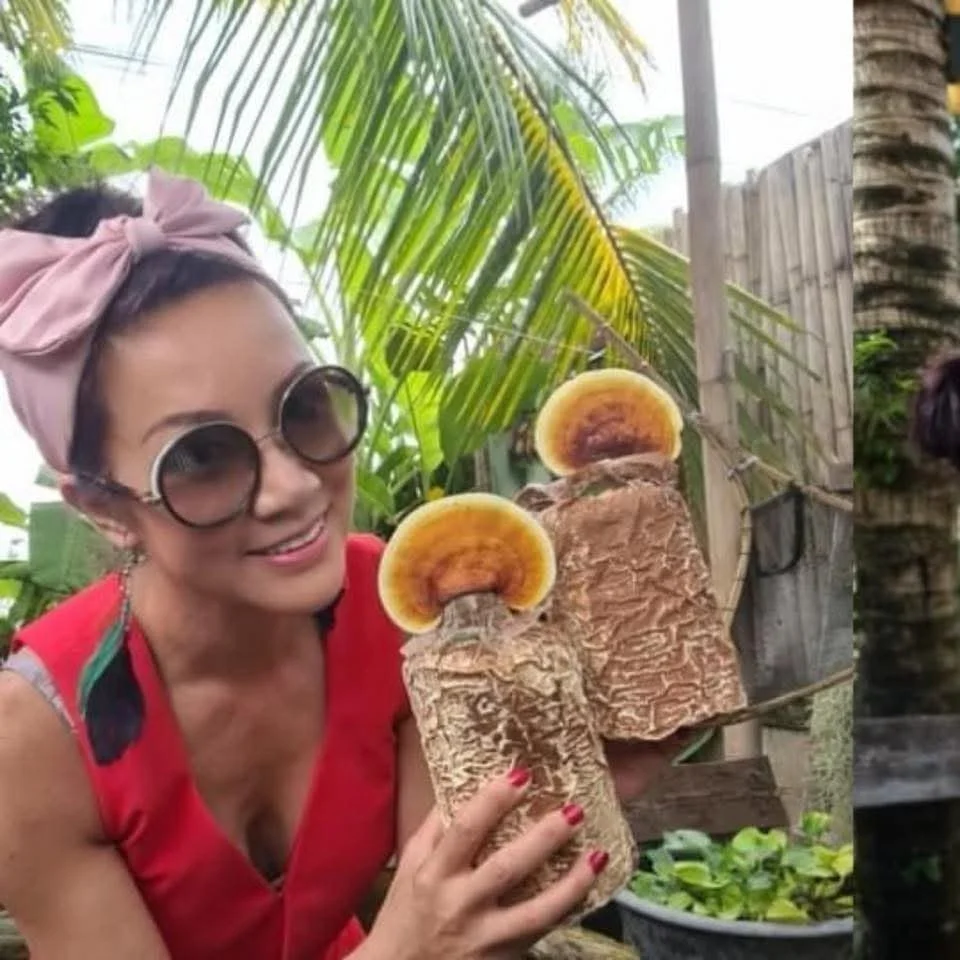 The Spirit of the Chiang Rai Peaks