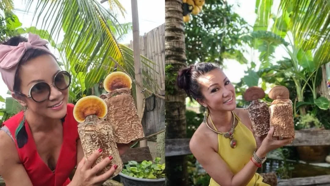 Cognitive Infrastructure: Fusing Specialty Coffee with Lion’s Mane