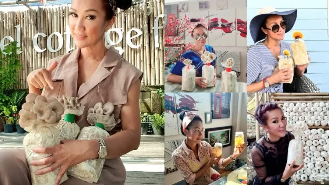 The Expat’s Path to Sovereign Income