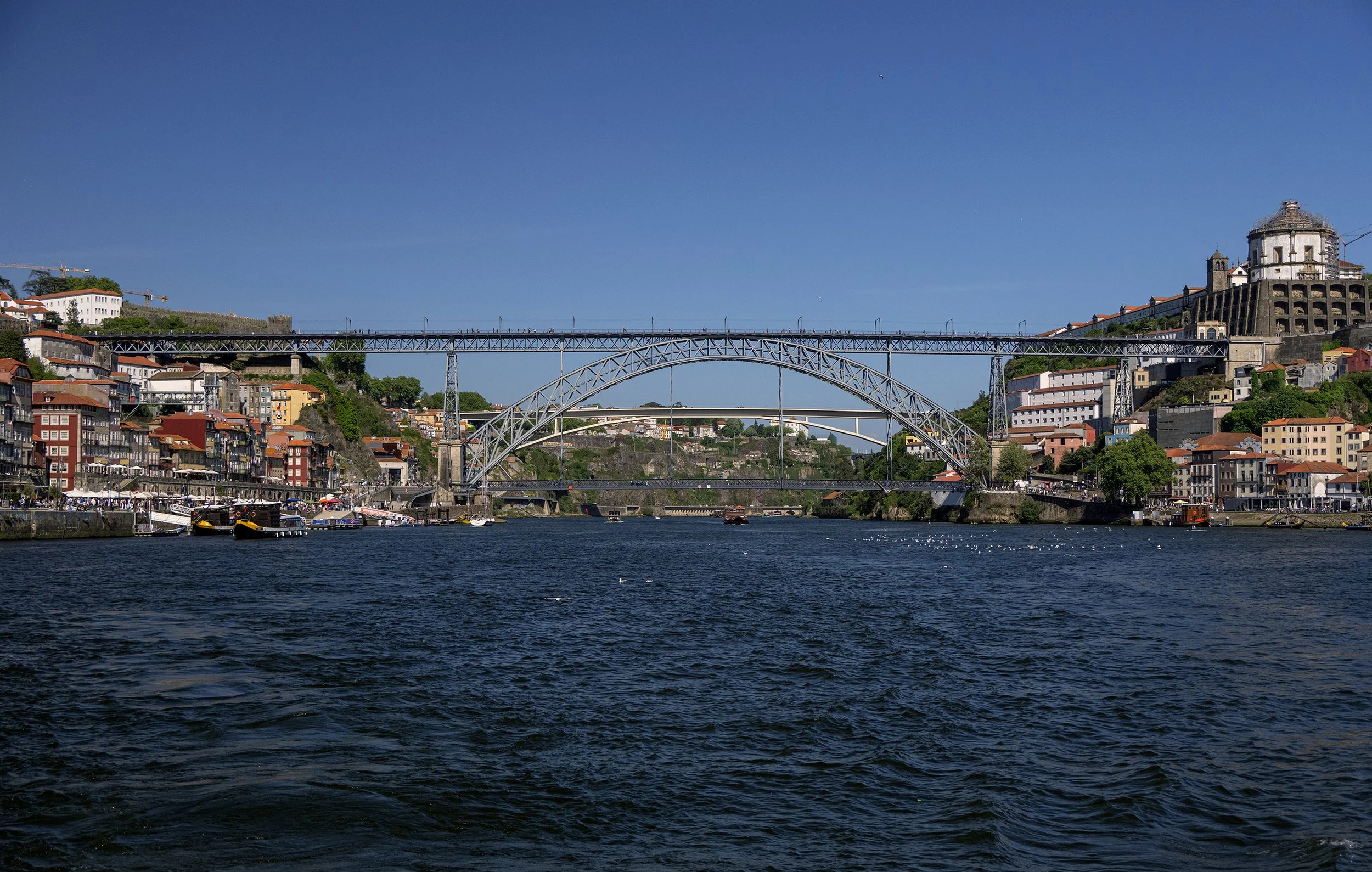 DSC_0189.jpg