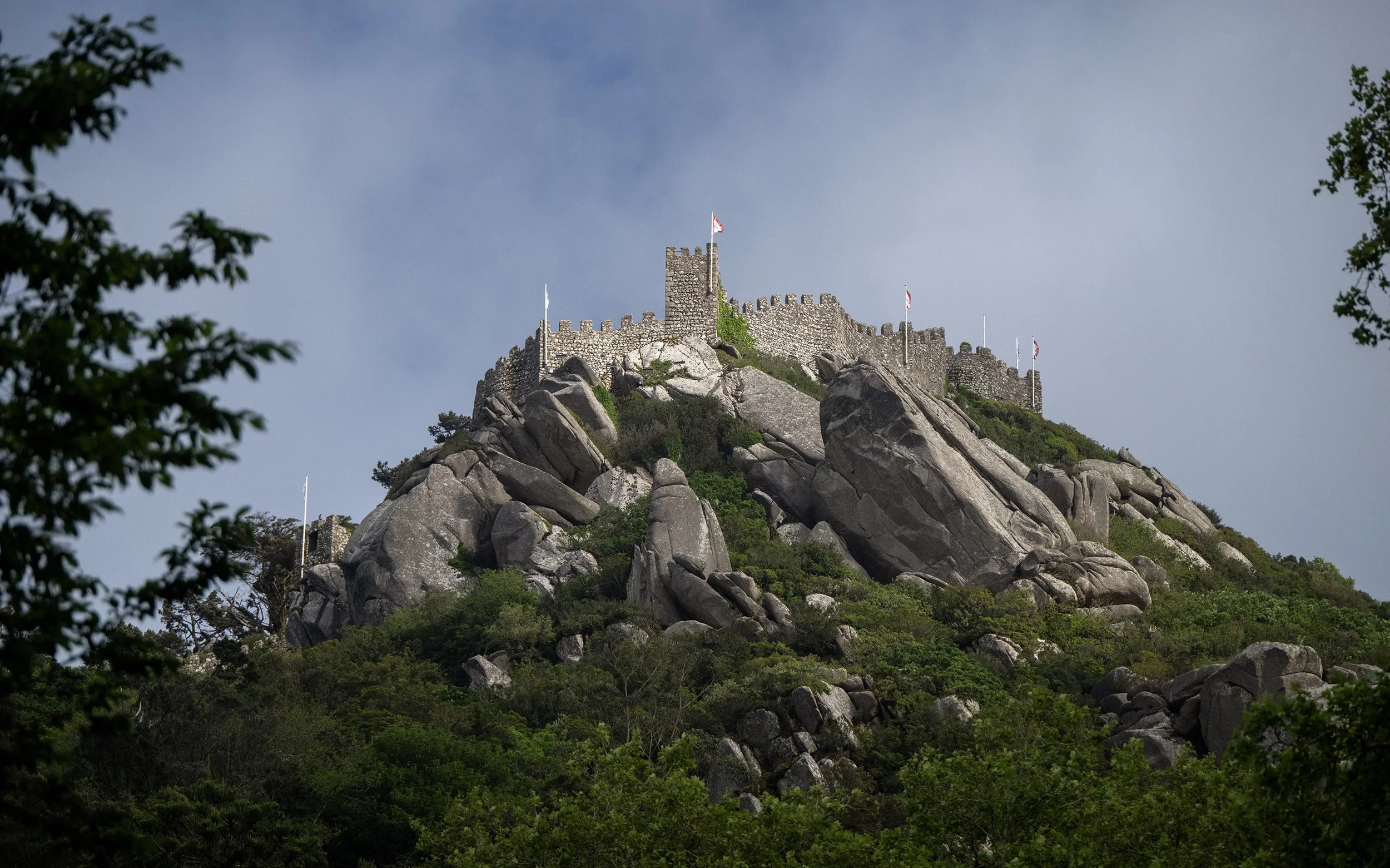 DSC_0545.jpg