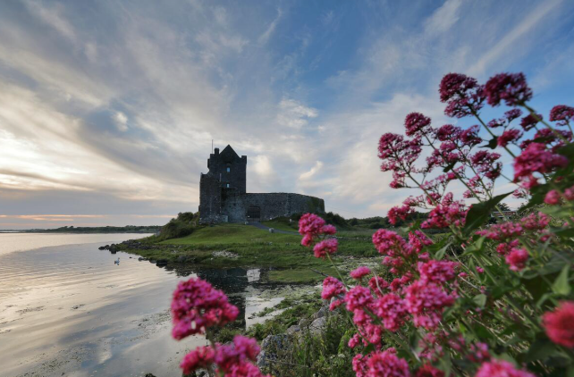 A historic stone castle situated on a grassy green shore beside a calm body of water, with a bright blue sky and wispy clouds overhead, and vibrant pink flowers in the foreground.