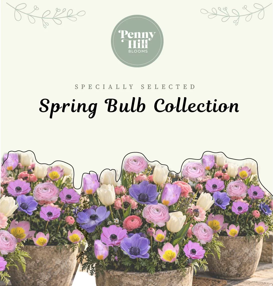 bulb-pots-01.jpg