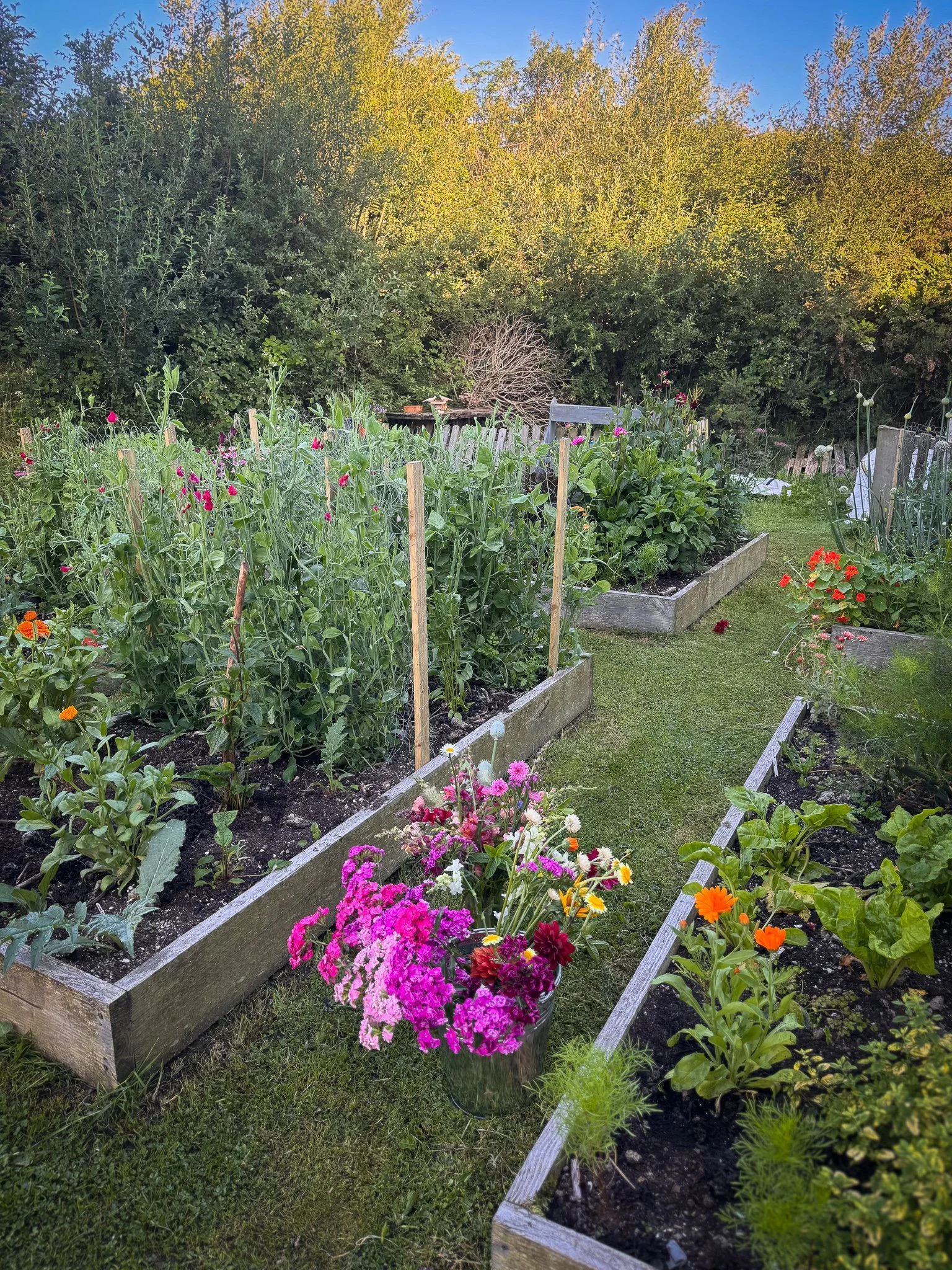 A garden with multiple raised beds filled with various flowering and vegetable plants, and a colorful arrangement of flowers in a bucket in the foreground. Trees and bushes are visible in the background under a clear sky.
