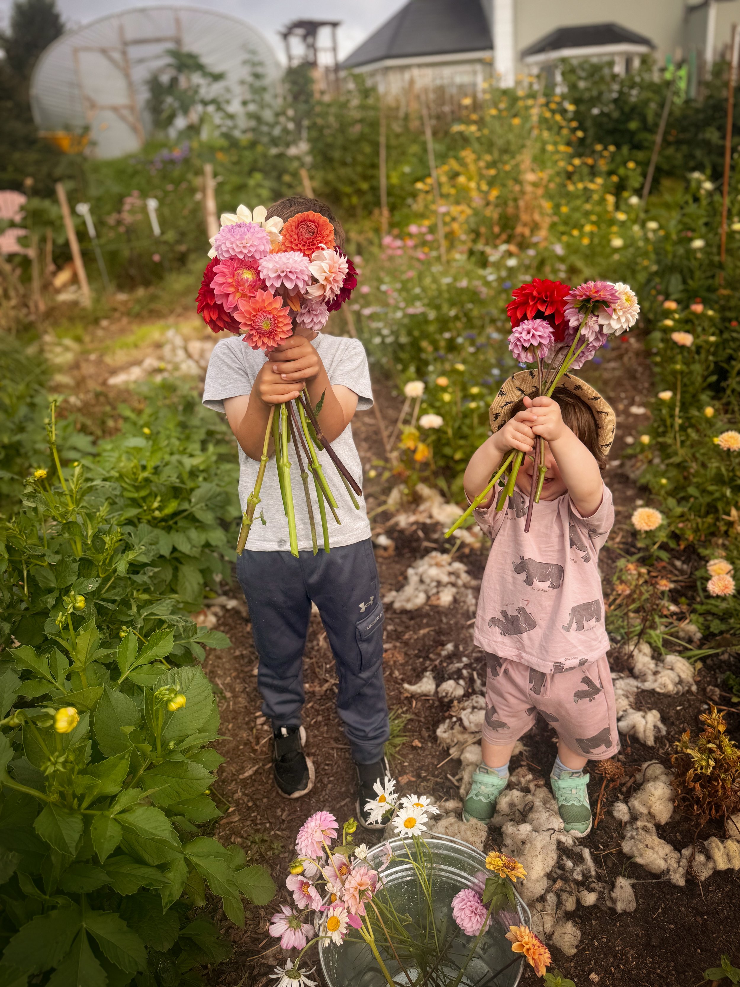 Two children standing in a garden holding colorful flowers in front of their faces, with a bucket of flowers on the ground, surrounded by blooming plants and a greenhouse in the background.