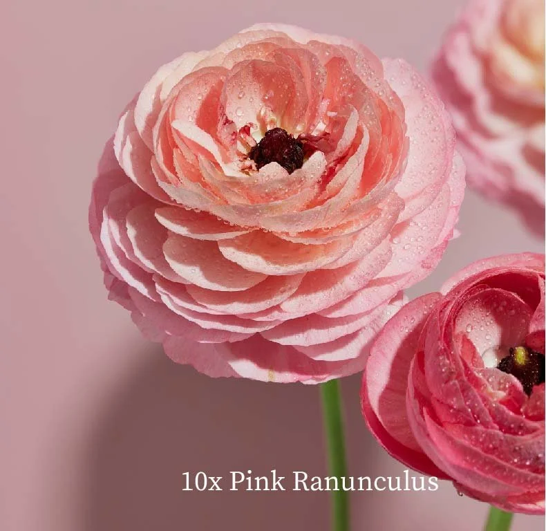 springbulb-images-01.jpg