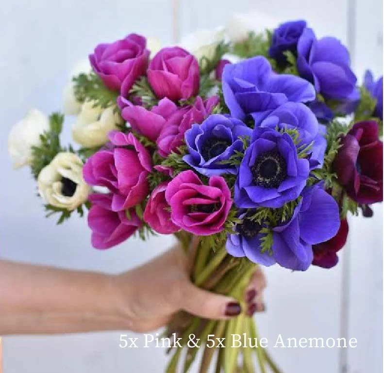 springbulb-images-03.jpg