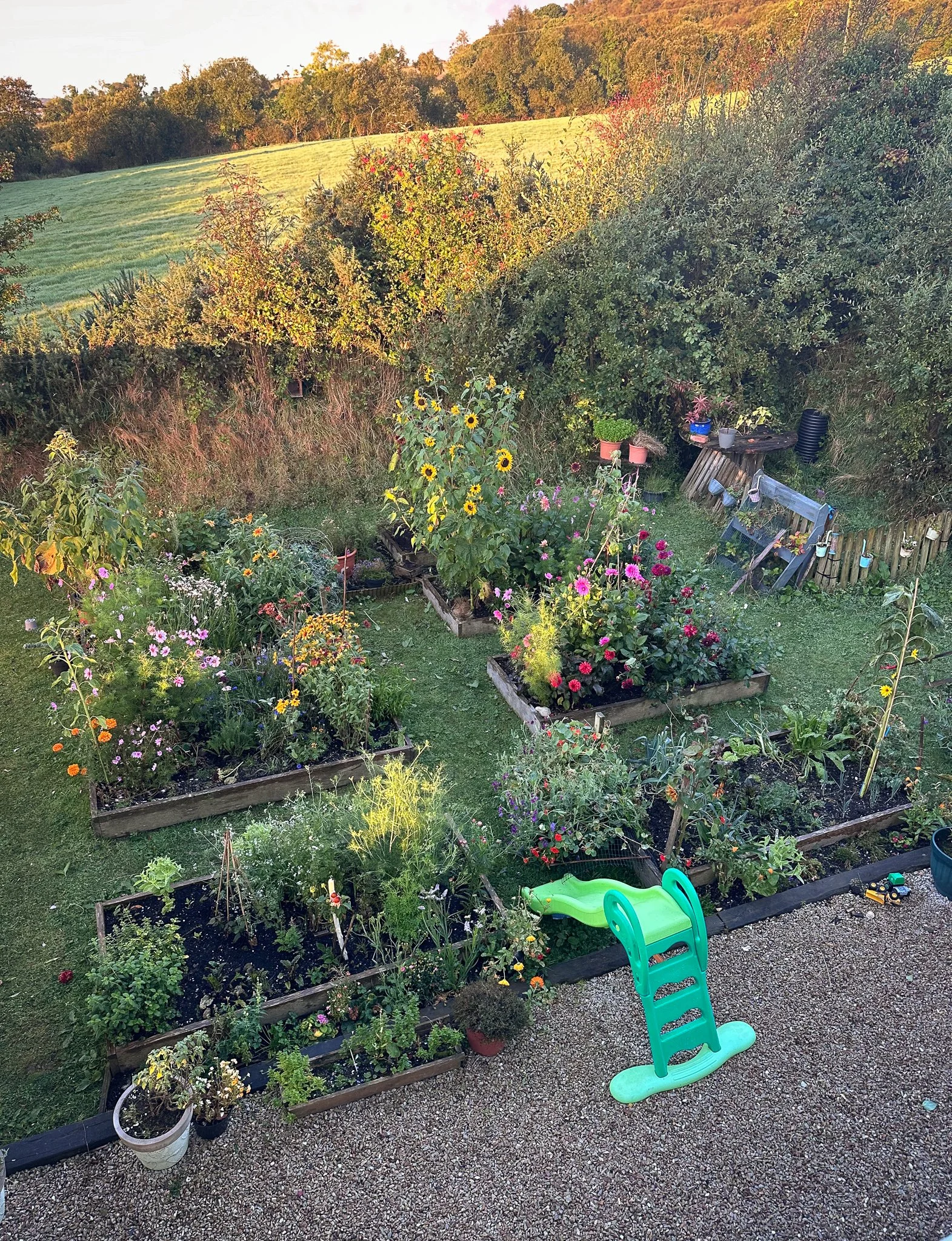 A colorful backyard garden with flower beds, a small green plastic slide, and various potted plants. Trees and a grassy field are visible in the background during sunset.