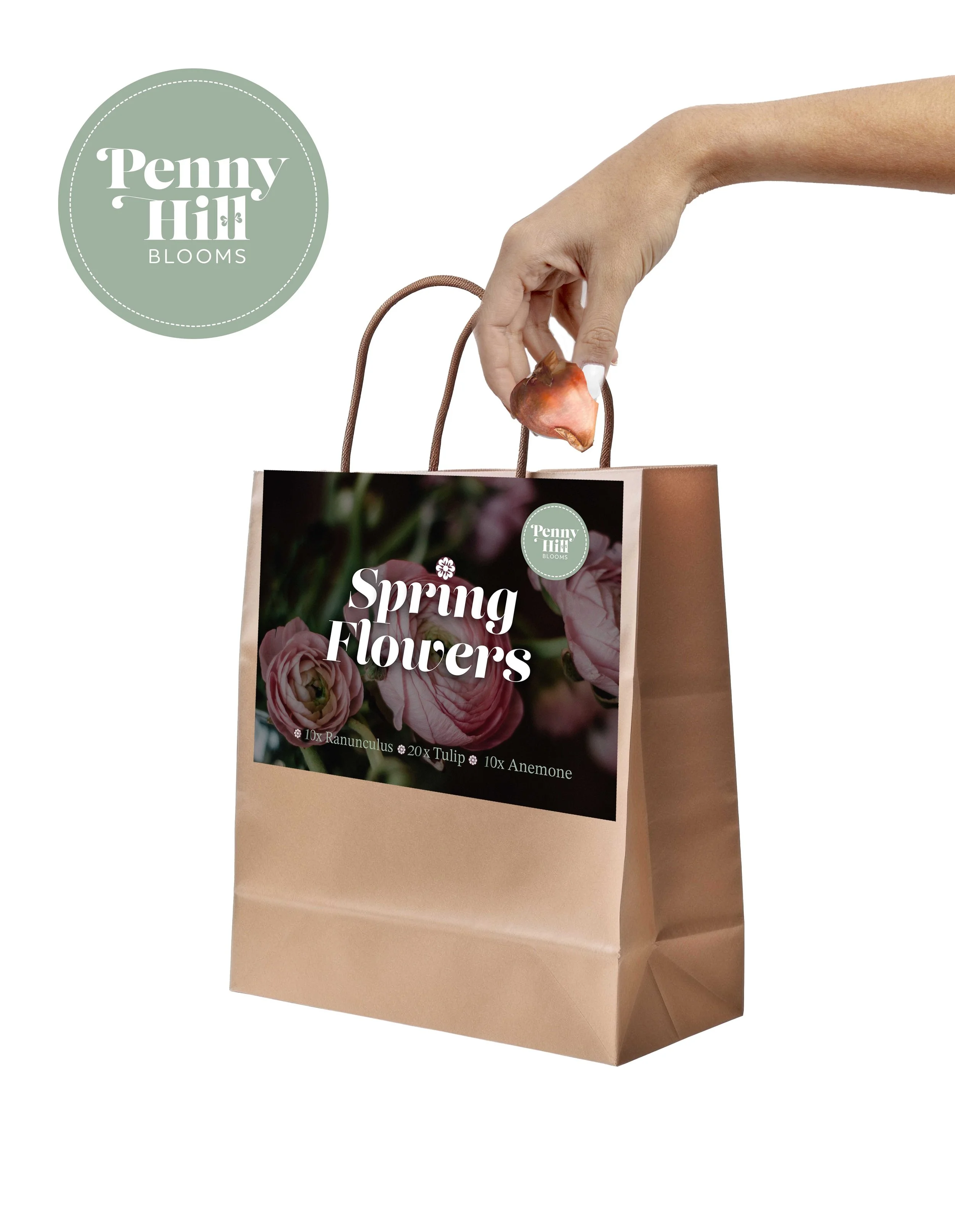 Spring Bulb Collection
