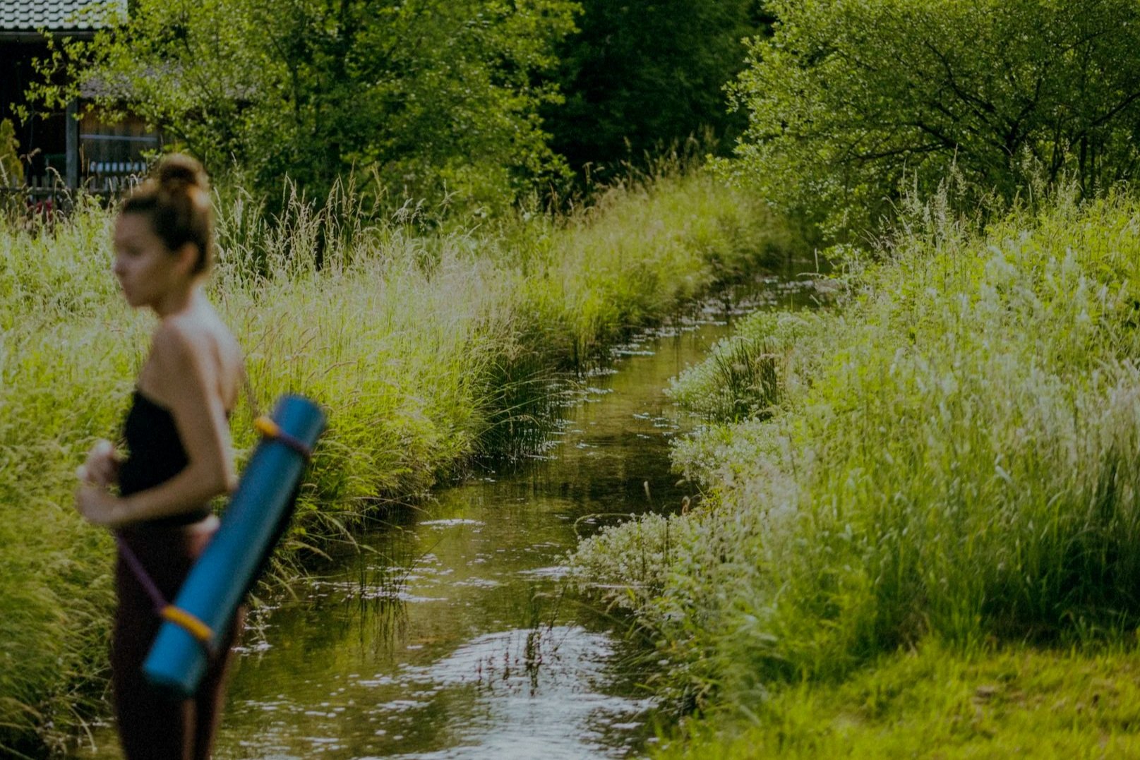 Der Mühlbach fließt durch grüne Wiesen