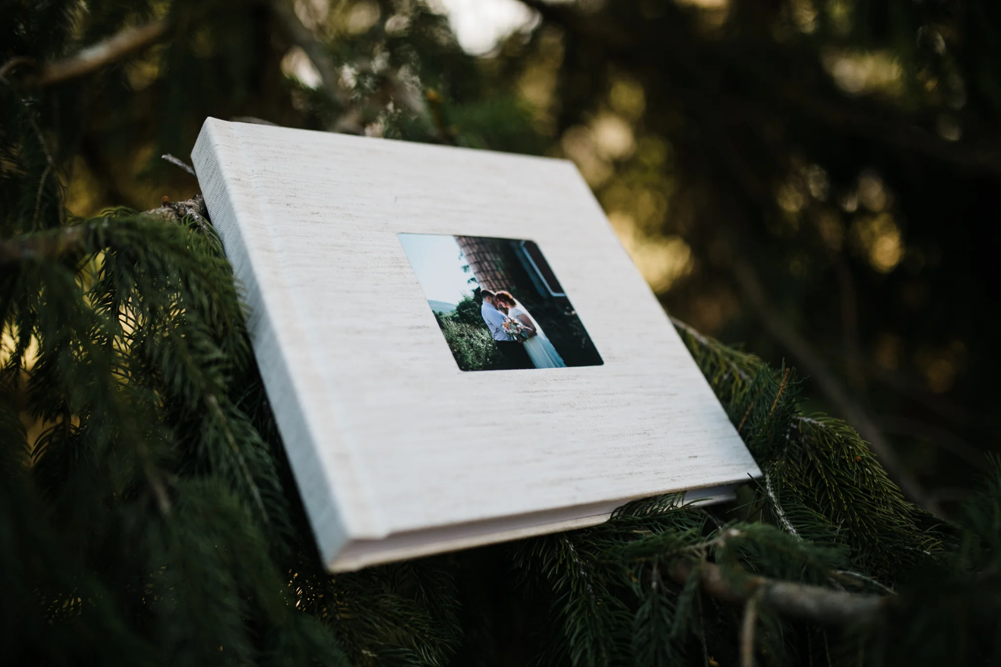 Hudson Valley Photographer Sweet Alice Photography-20.jpg