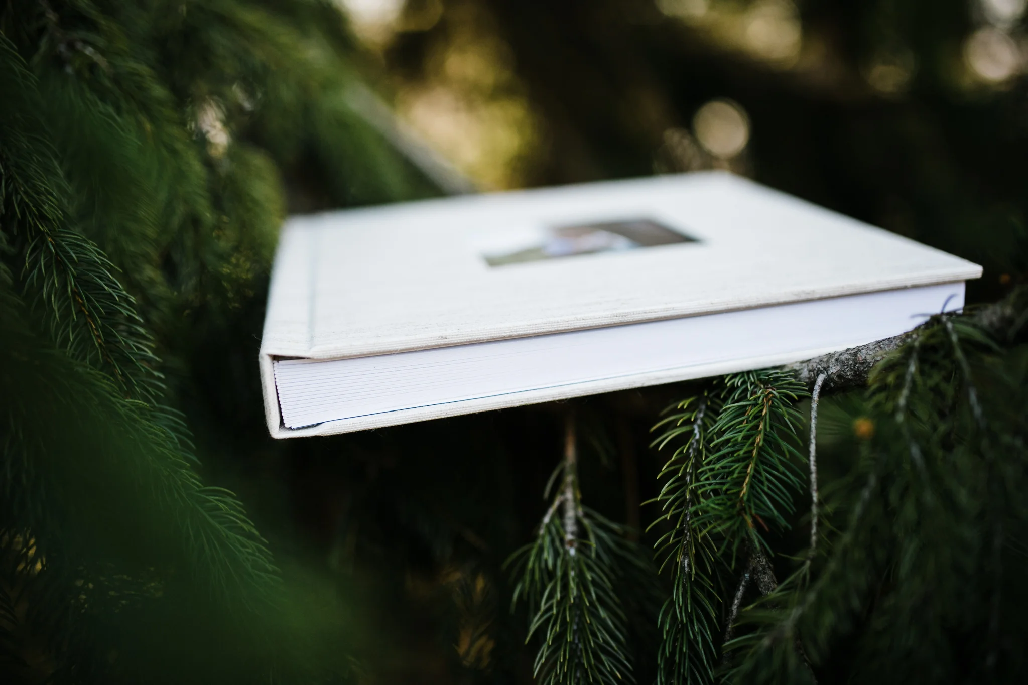 Hudson Valley Photographer Sweet Alice Photography-21.jpg