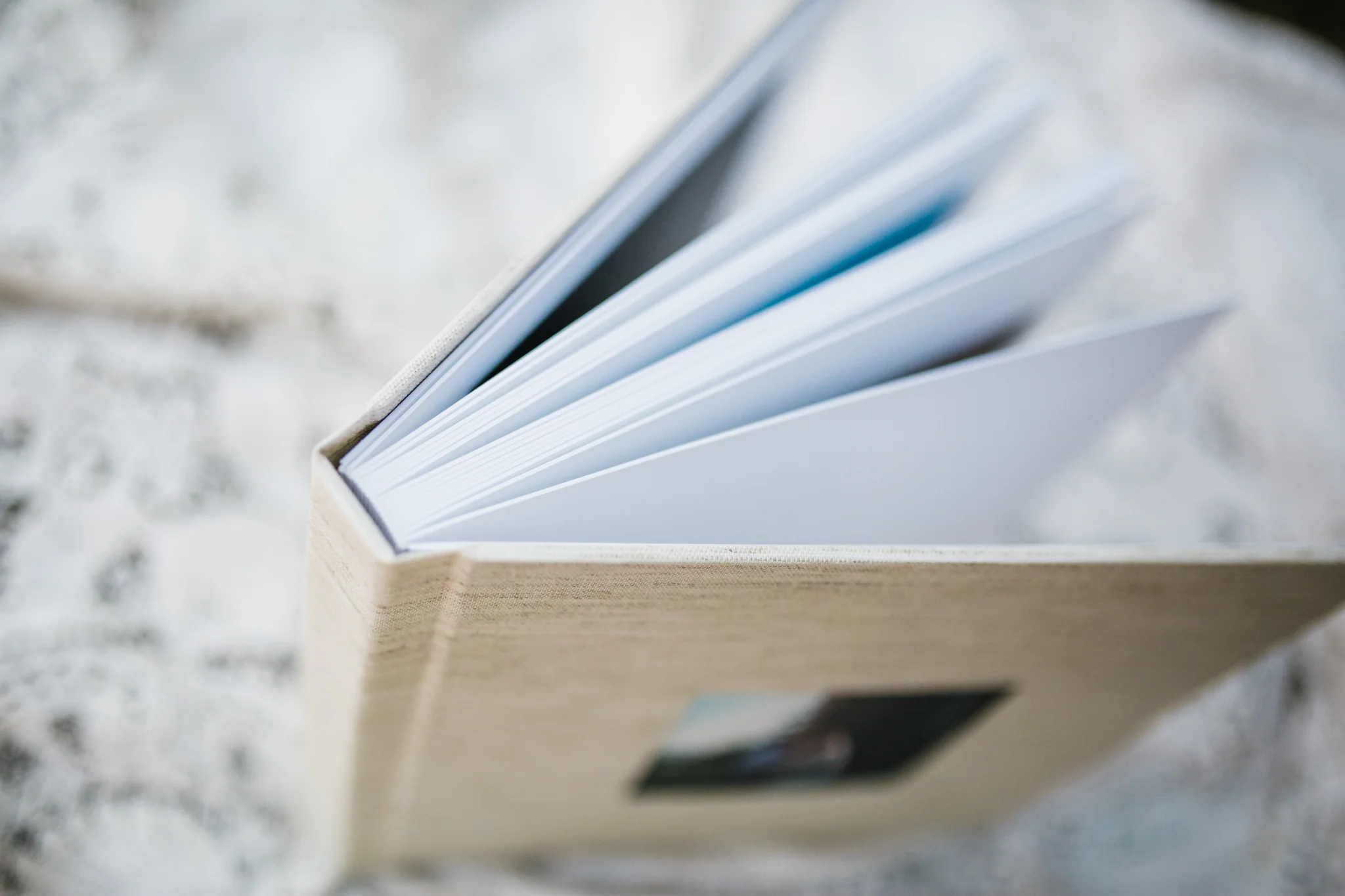 Hudson Valley Photographer Sweet Alice Photography-3.jpg