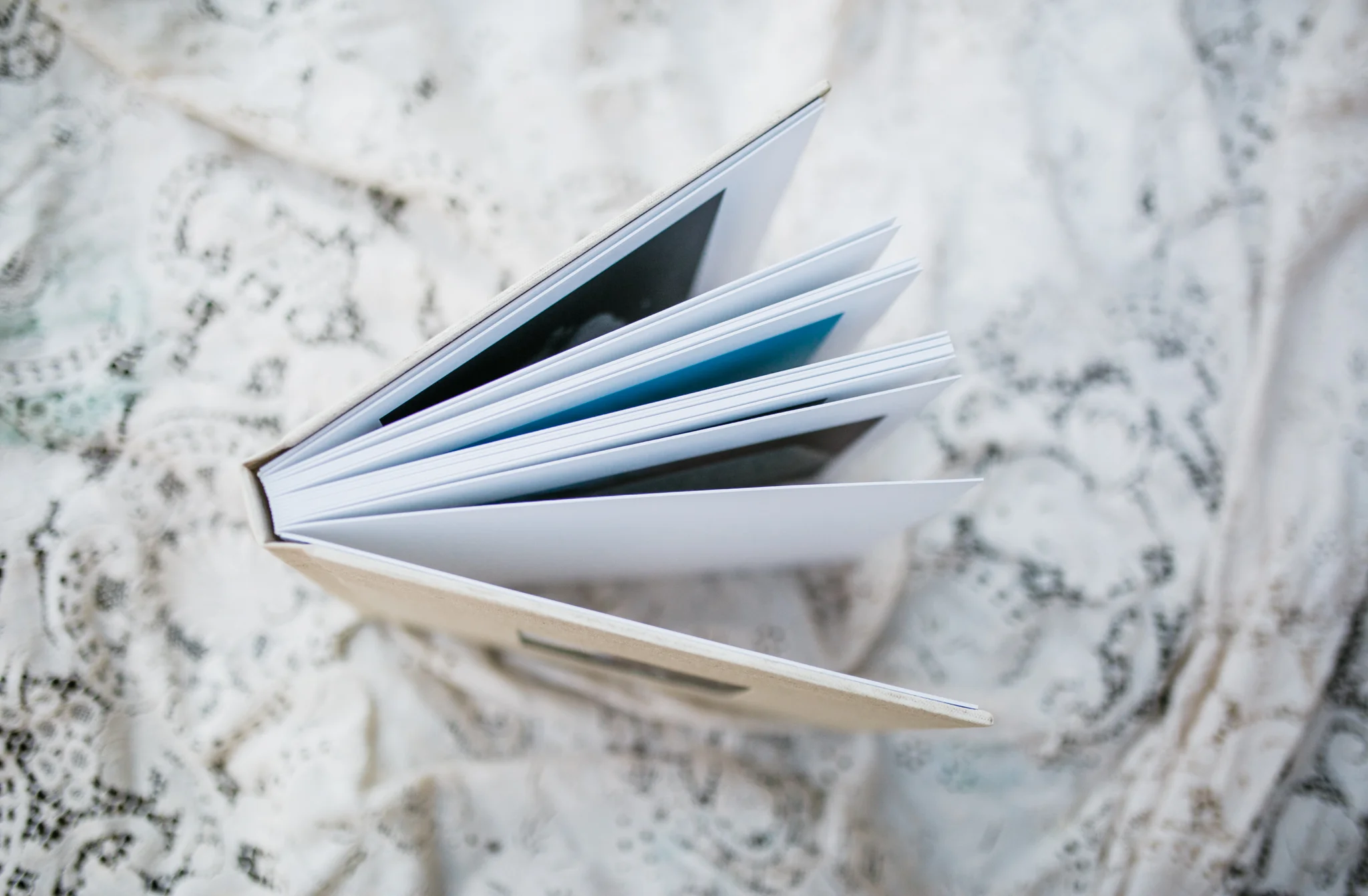 Hudson Valley Photographer Sweet Alice Photography-2.jpg