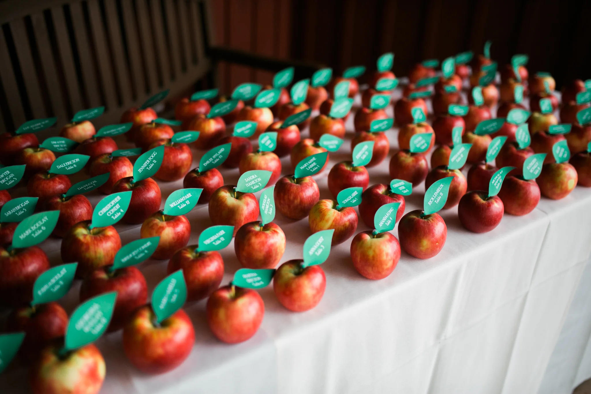 Hudson Valley Photographer Sweet Alice IG-1-4.jpg