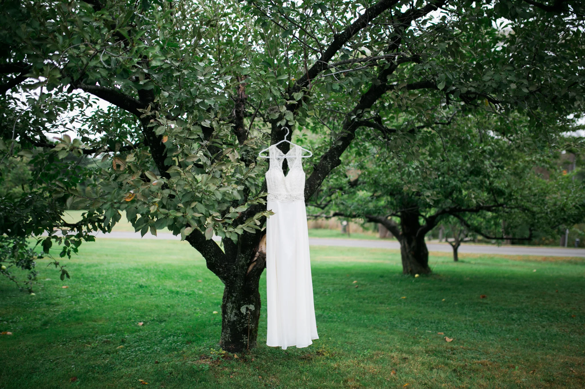 Hudson Valley Photographer Sweet Alice IG-1-8.jpg