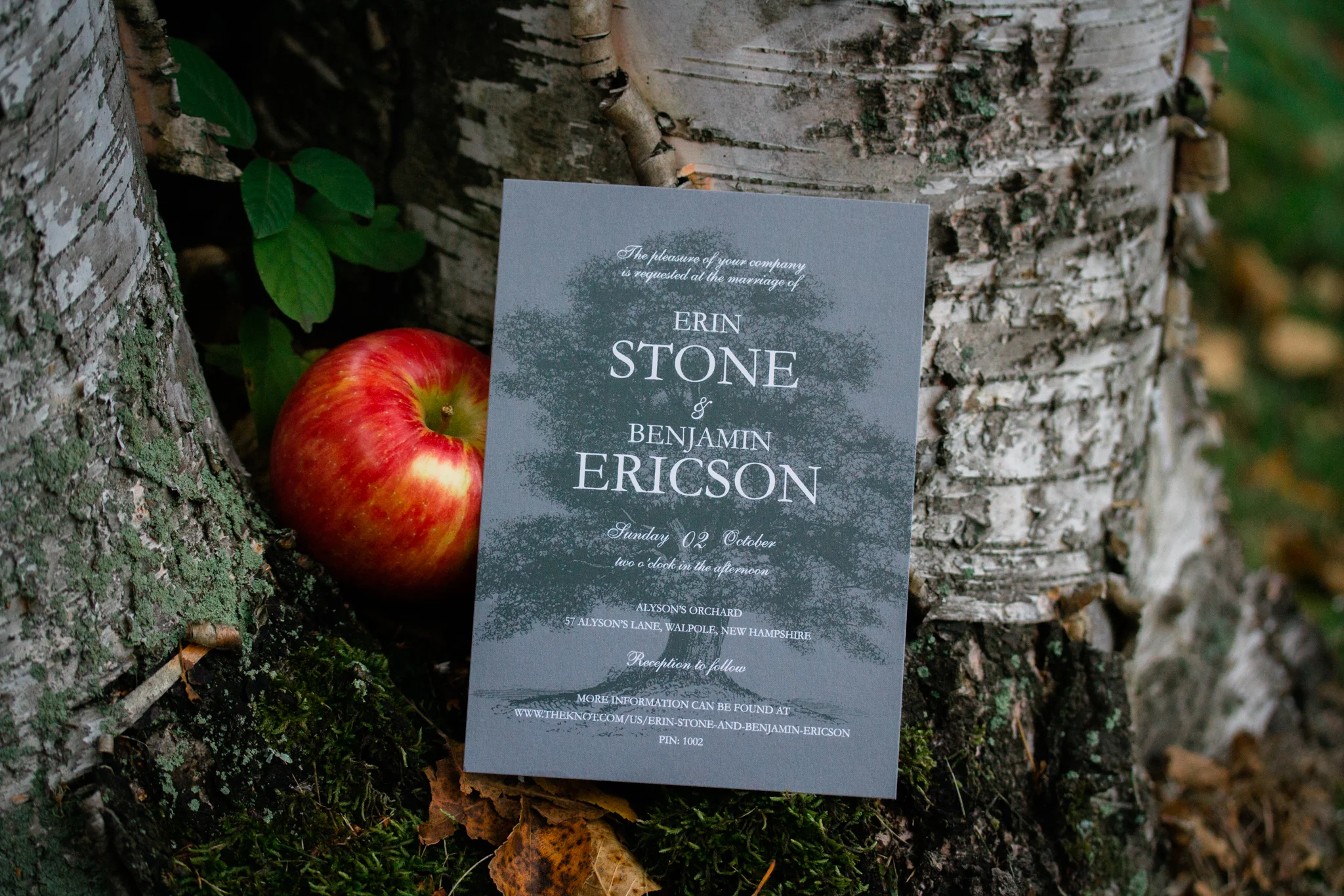 Hudson Valley Photographer Sweet Alice IG-1-87.jpg