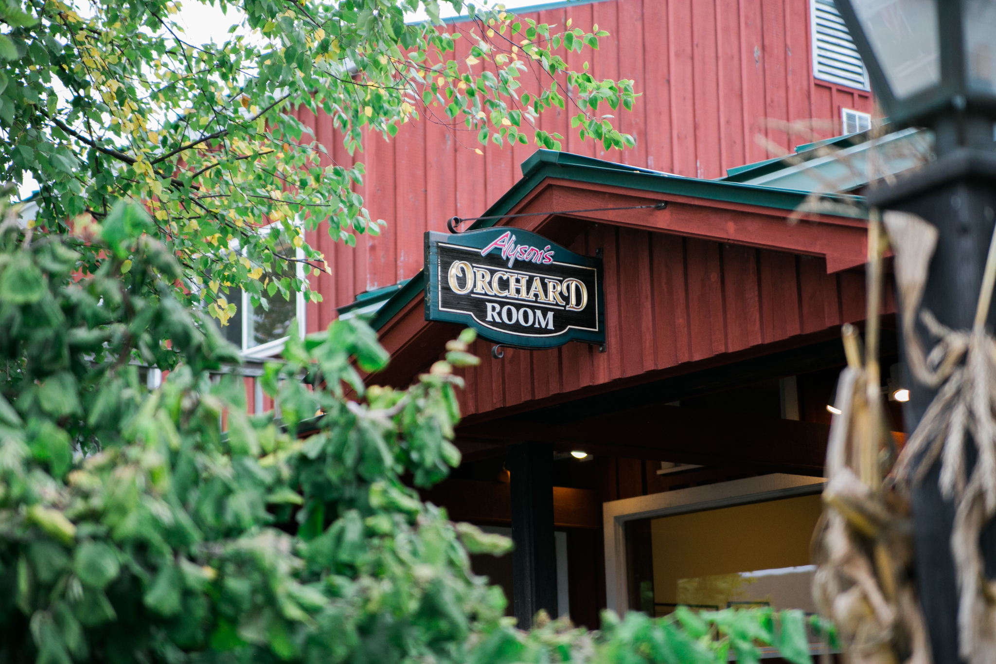 Hudson Valley Photographer Sweet Alice IG-1-88.jpg