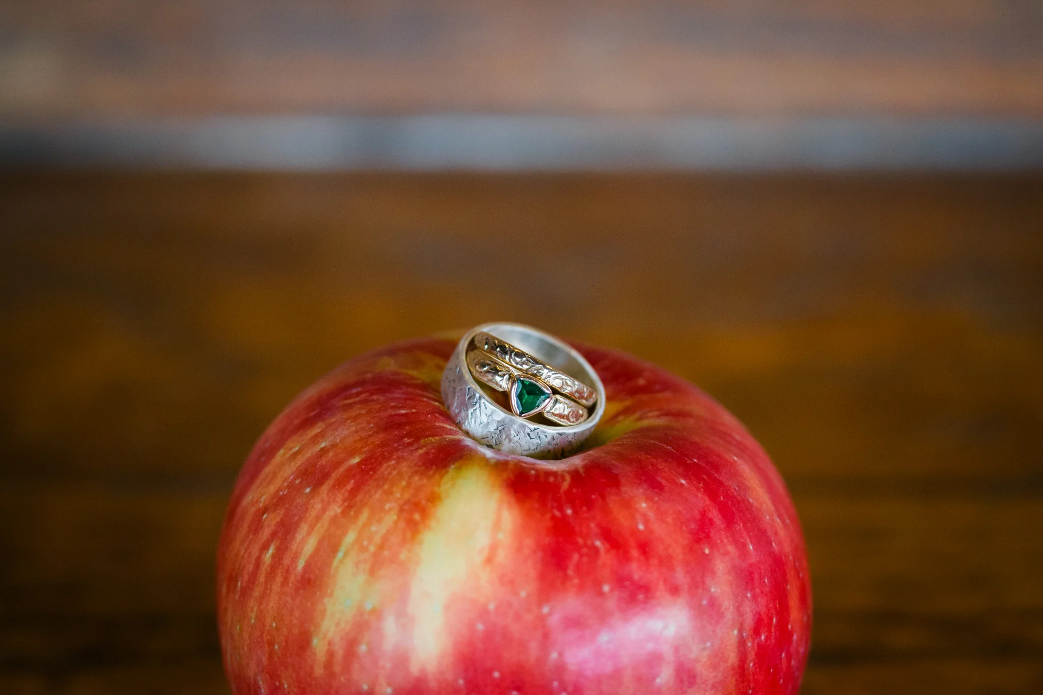 Hudson Valley Photographer Sweet Alice IG-1-85.jpg