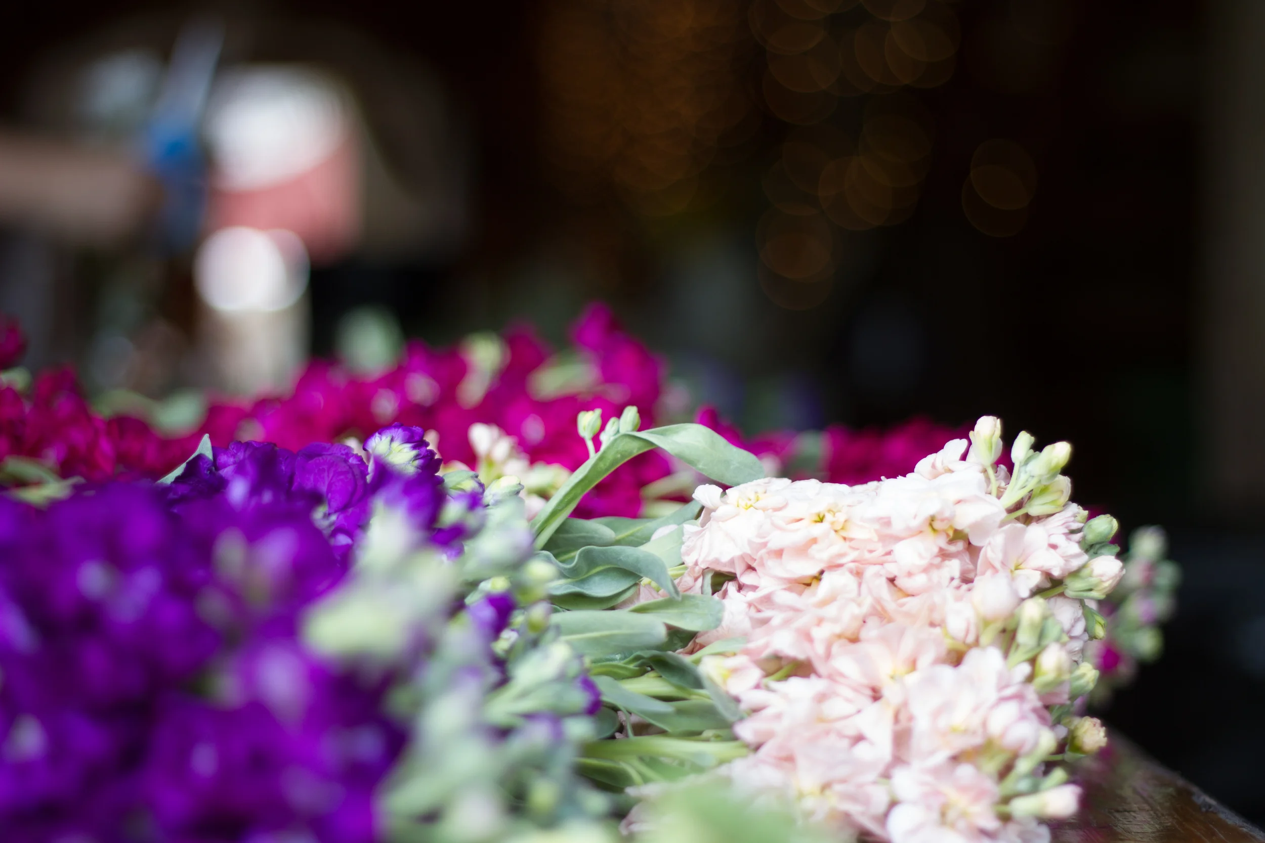 Fresh flowers at Bliss Farm in Granville, Massachusetts. Sweet Alice Photography.
