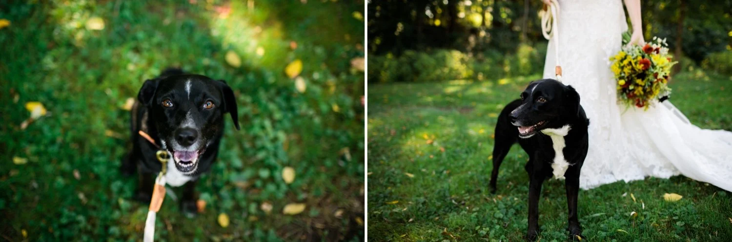 Buttermilk Falls Inn and Spa Wedding 9.jpg