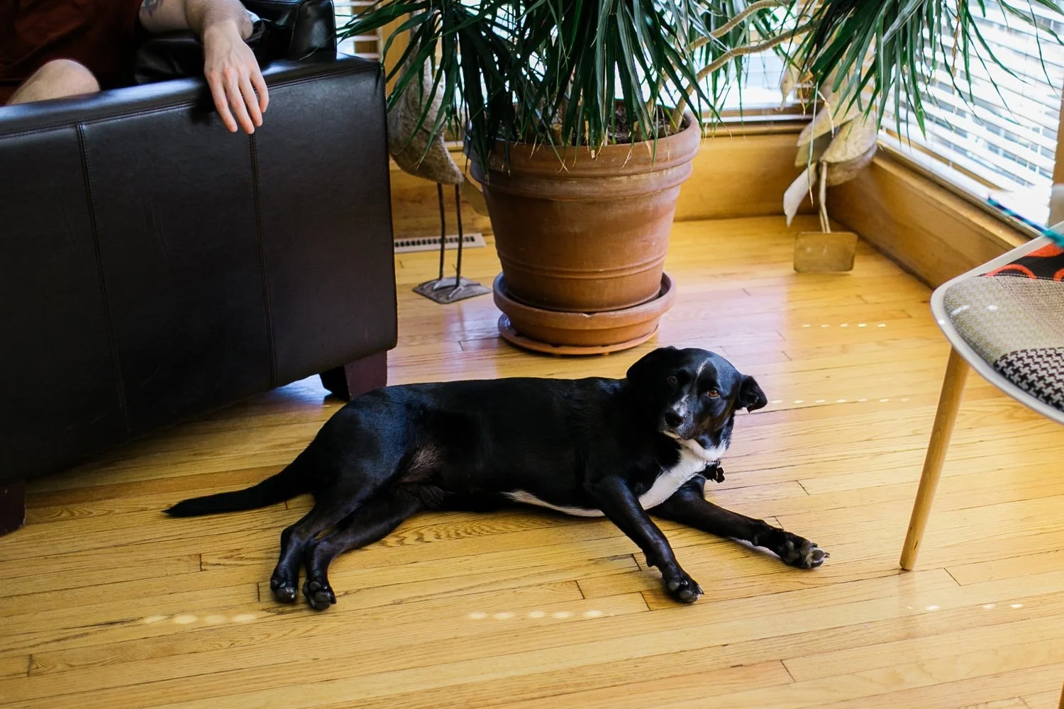 02_Buttermilk Falls Wedding 6_Groom getting ready at Buttermilk Falls Inn and Spa wedding .jpg