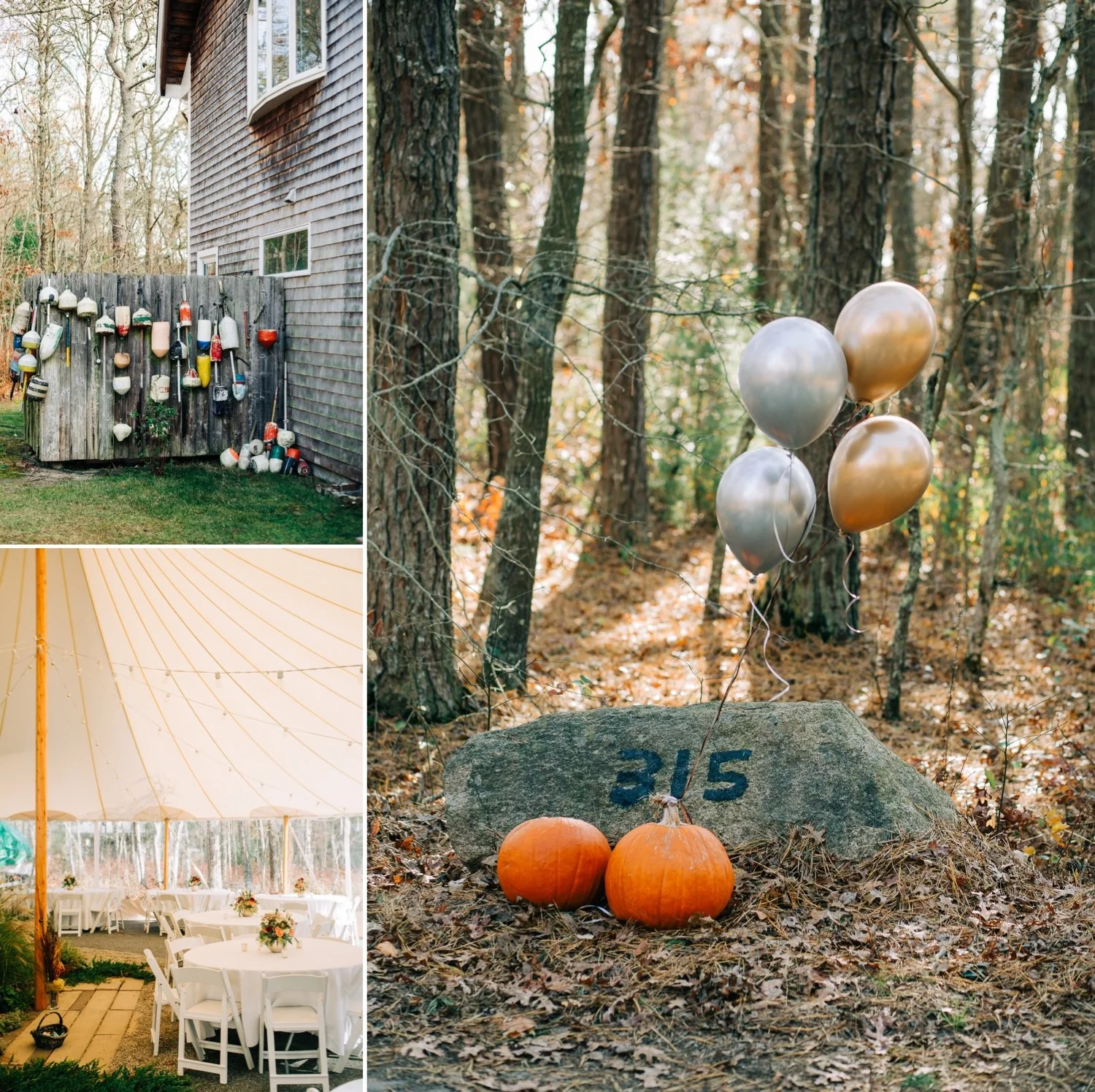 Cape Cod Backyard Wedding 2.jpg