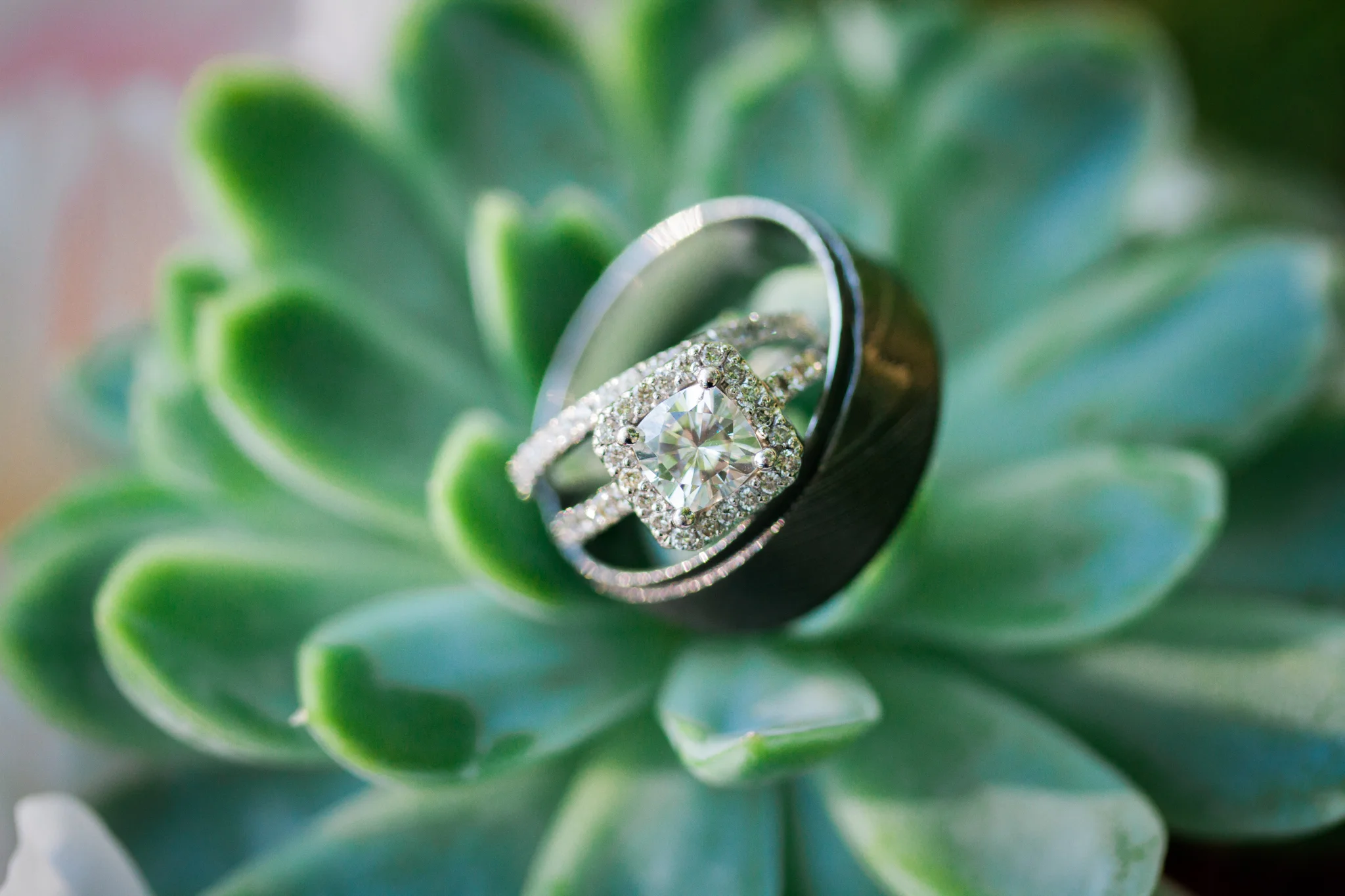 Hudson Valley Wedding Photographer Clermont State Historic Site Sweet Alice Photography 97.jpg