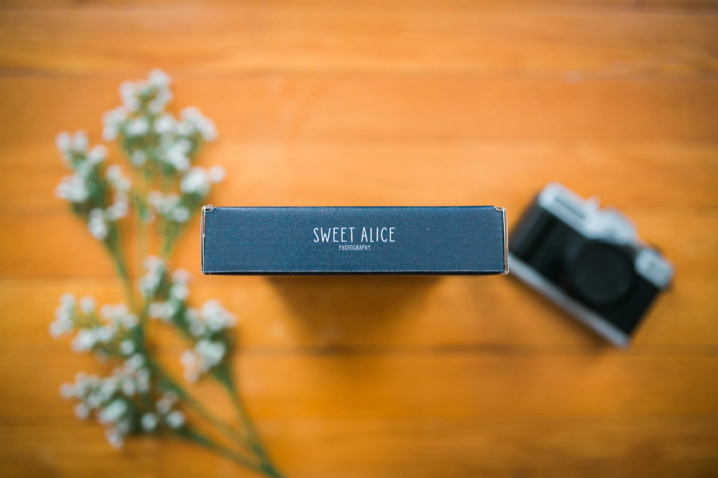 Hudson Valley Wedding Photographer Sweet Alice Photography-13.jpg