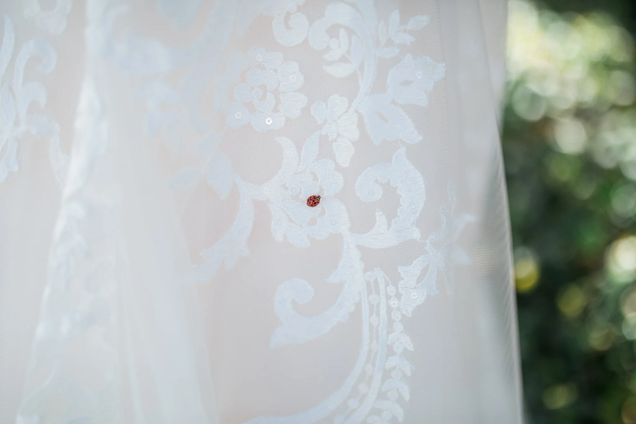 Eagle Creek Golf Club Wedding Orlando Florida Wedding Sweet Alice Photography 1.jpg