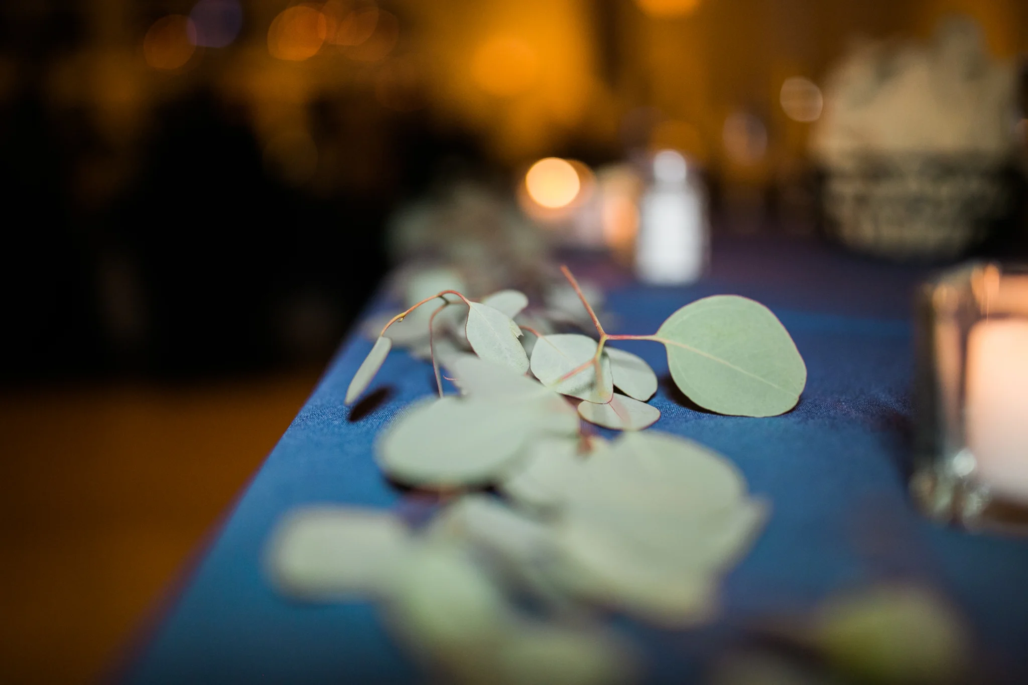 Hudson Valley Photographer Sweet Alice IG-1-120.jpg