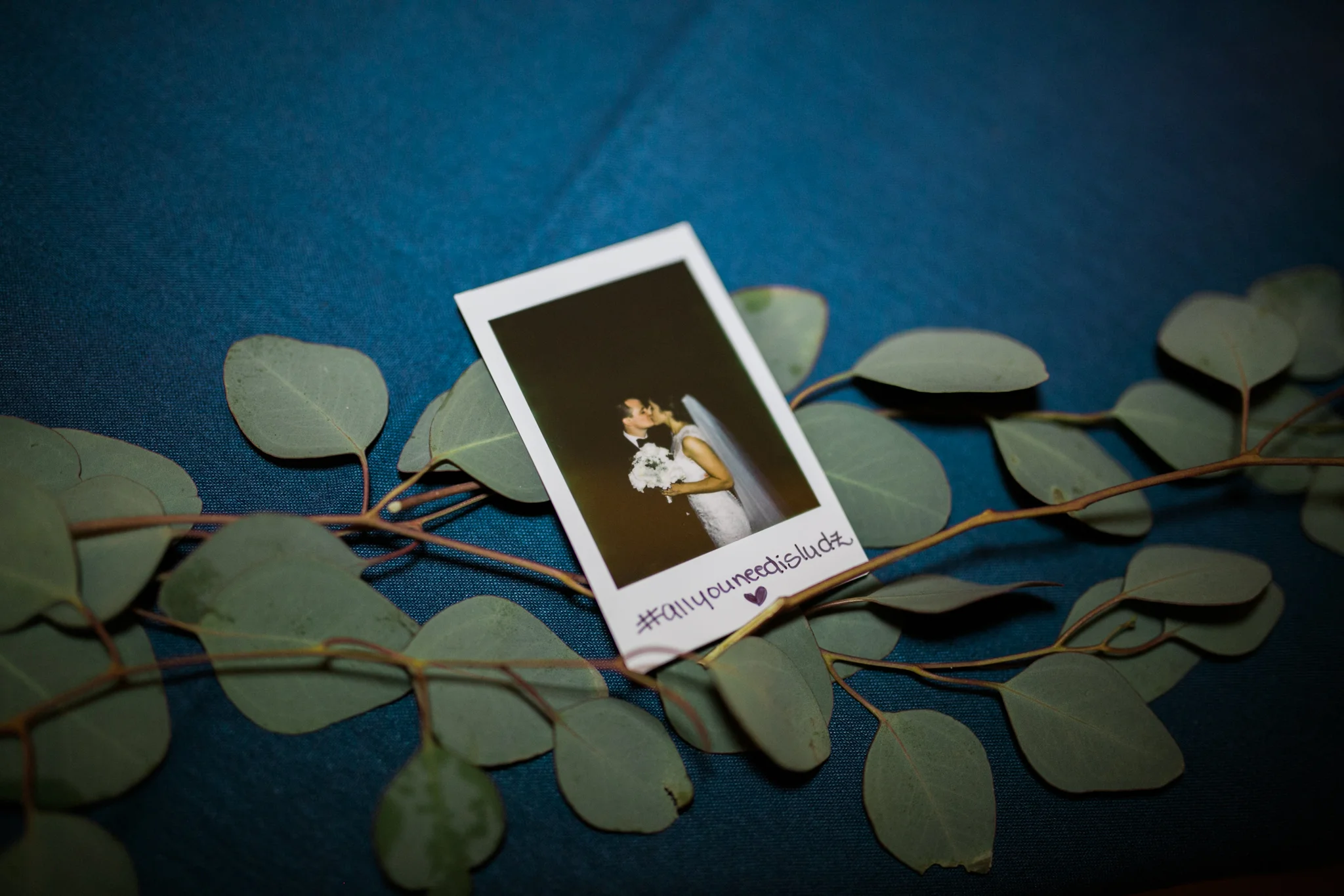 Hudson Valley Photographer Sweet Alice IG-1-118.jpg