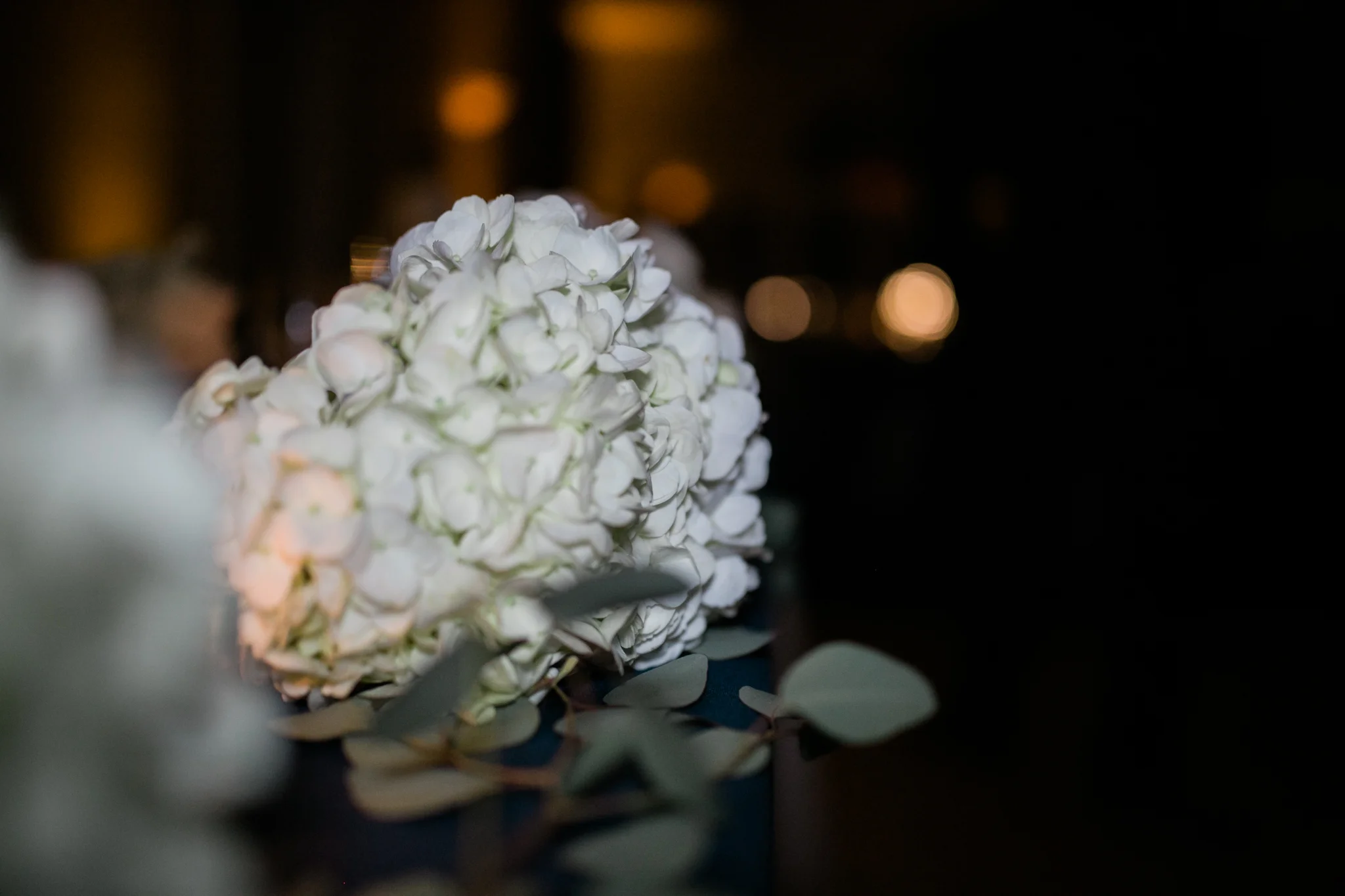 Hudson Valley Photographer Sweet Alice IG-1-129.jpg