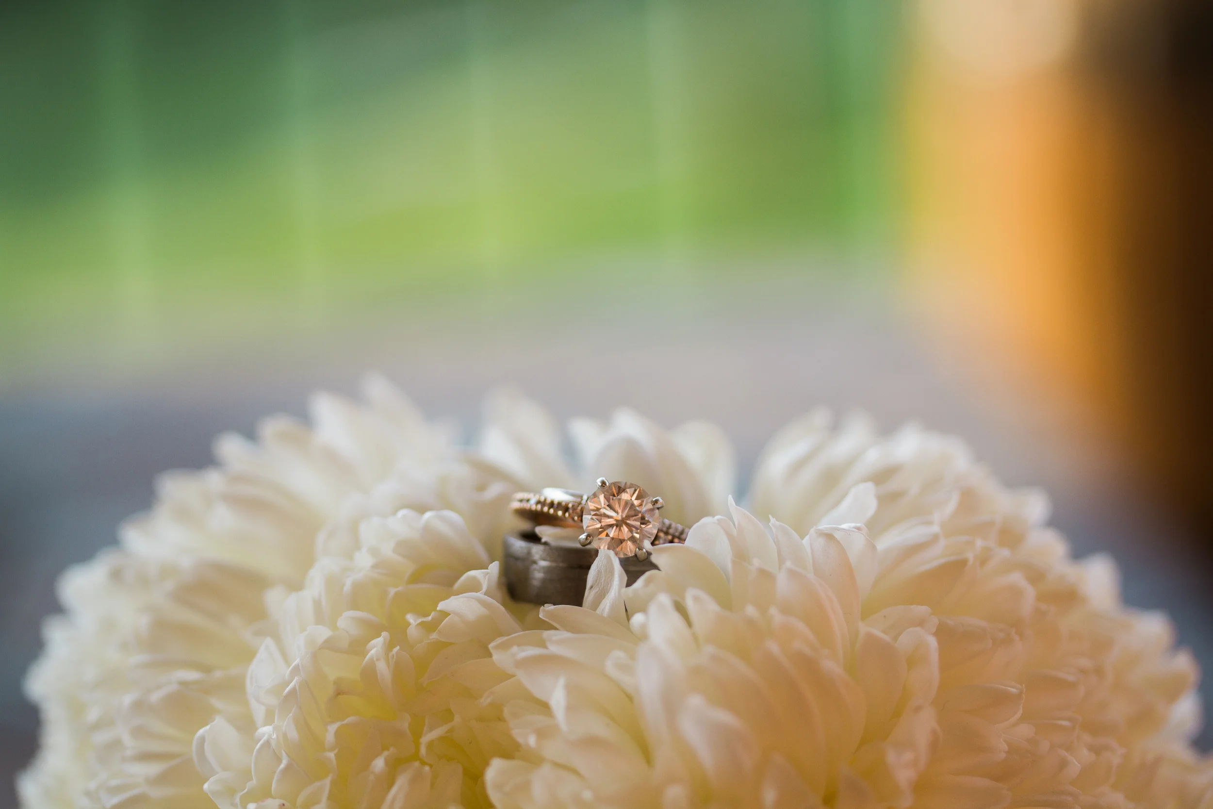 Mr and Mrs Belluzzi-375.jpg