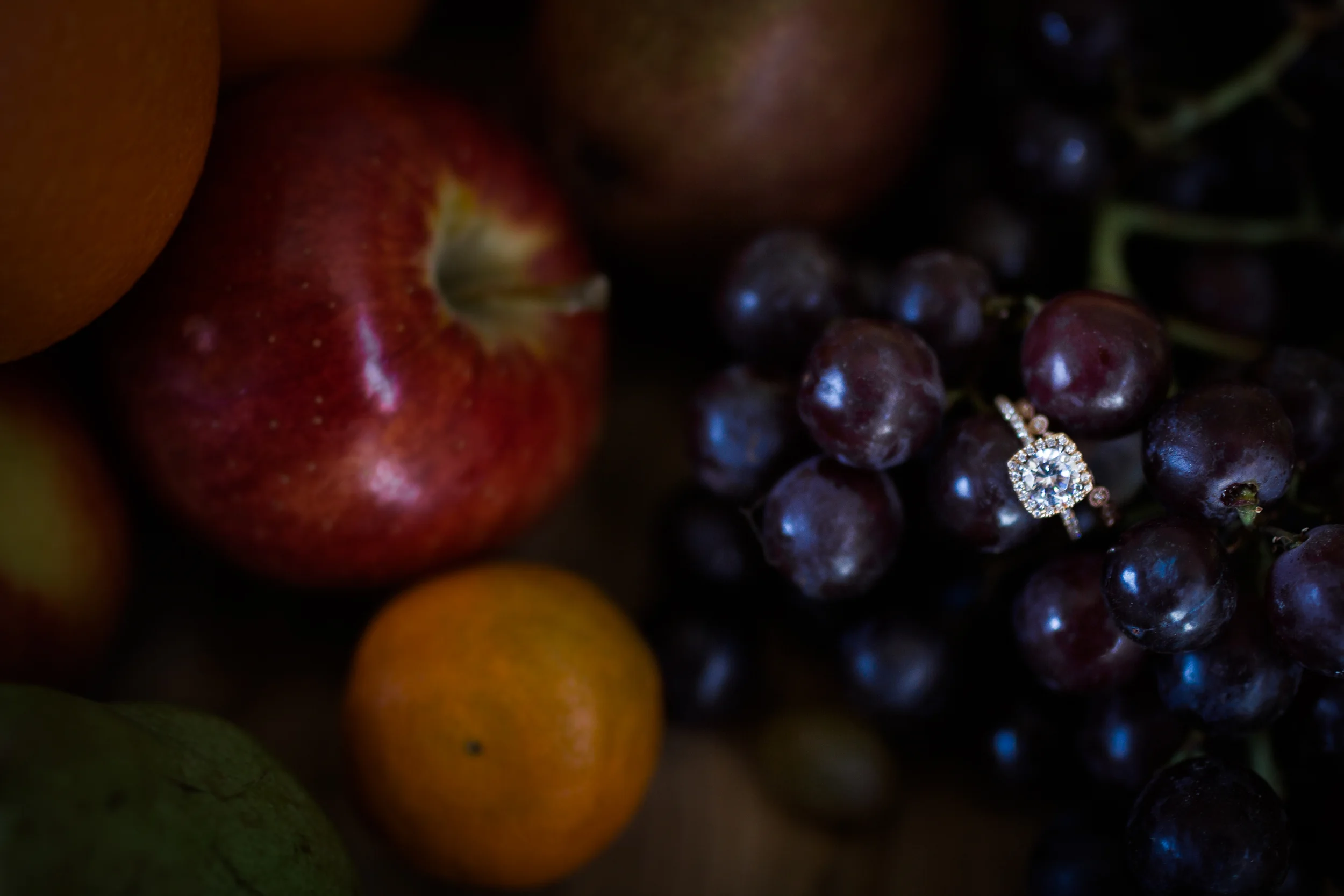 Sweet Alice Photography, Basilica Hudson